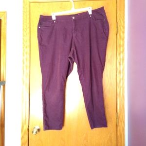 Torrid Plum Skinny Jeans